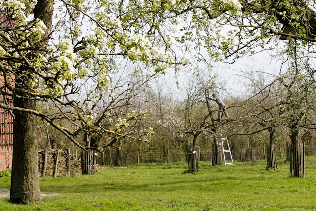 Natuur.huis Panneweel Natuur.huis Panneweel
