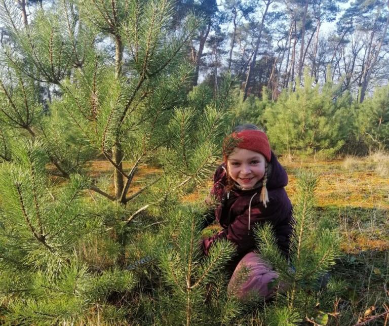 Kerstboom uit Landschap De Liereman