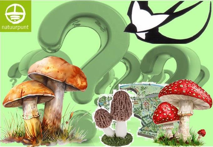 Paddenstoelen Kennismaking Paddenstoelen Kennismaking
