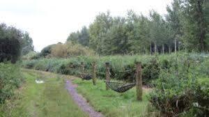 stiltegebied Hingene stiltegebied Hingene