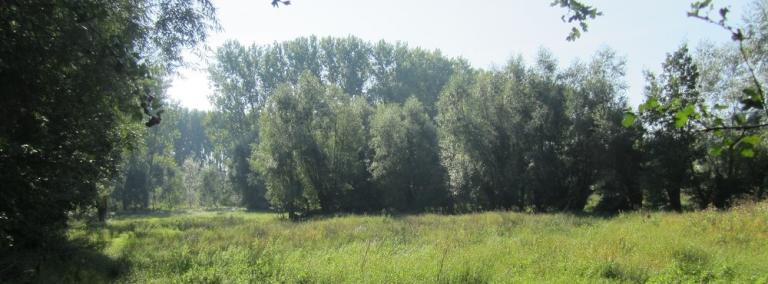 Gondebeekvallei