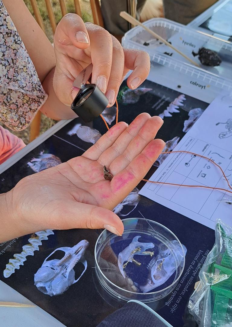 SNUIT mini-workshop