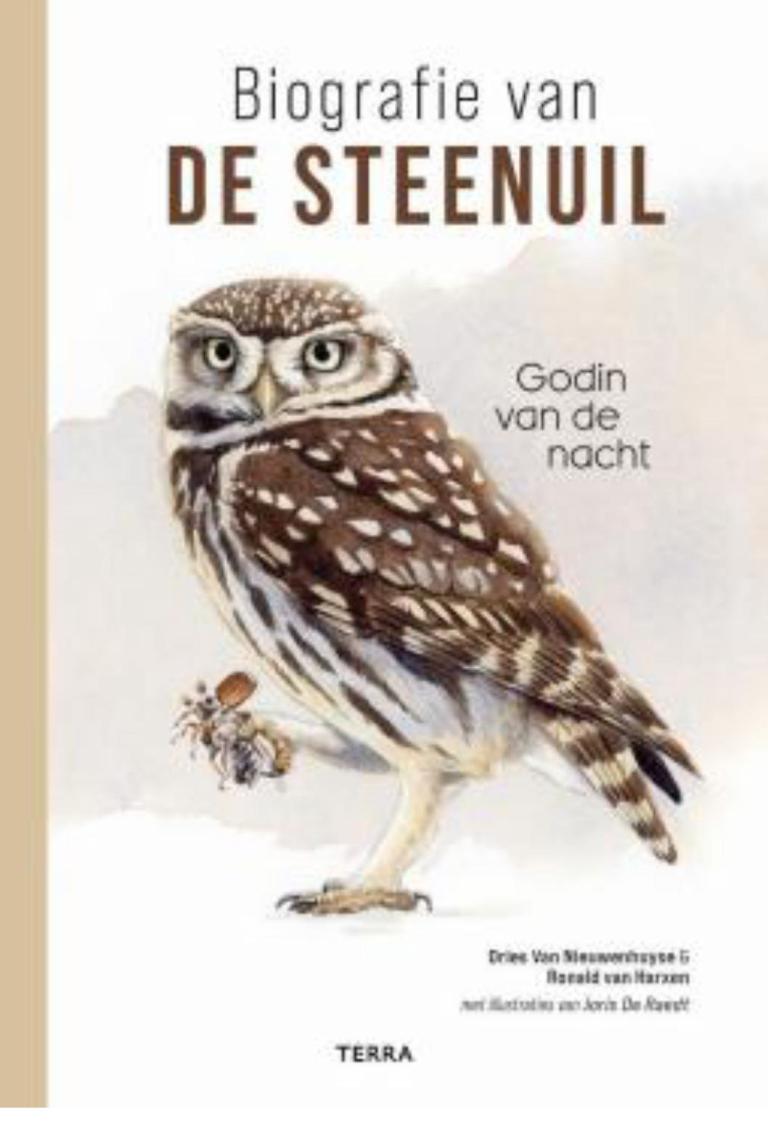 sc steenuil