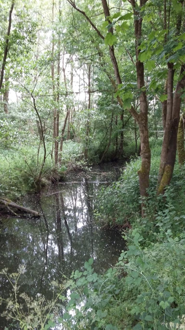 Egenhovenboswandeling