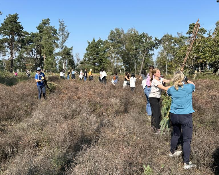 Natuurbeheer in Landschap De Liereman