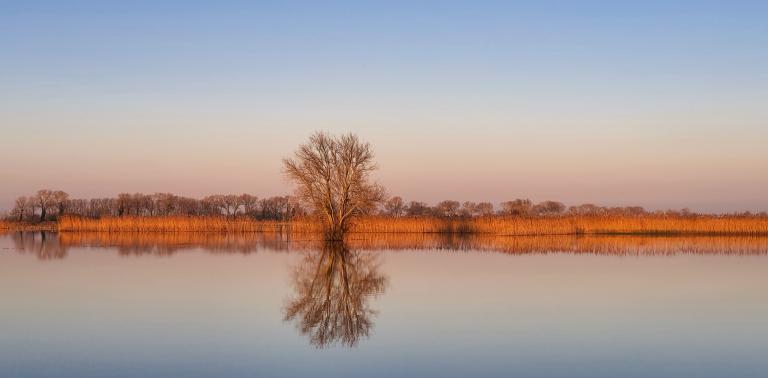 Westbroek - Sancho Vanherck Westbroek - Sancho Vanherck