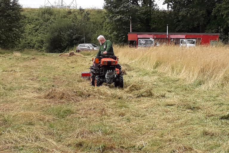 Beheerwerken Wellemeersen