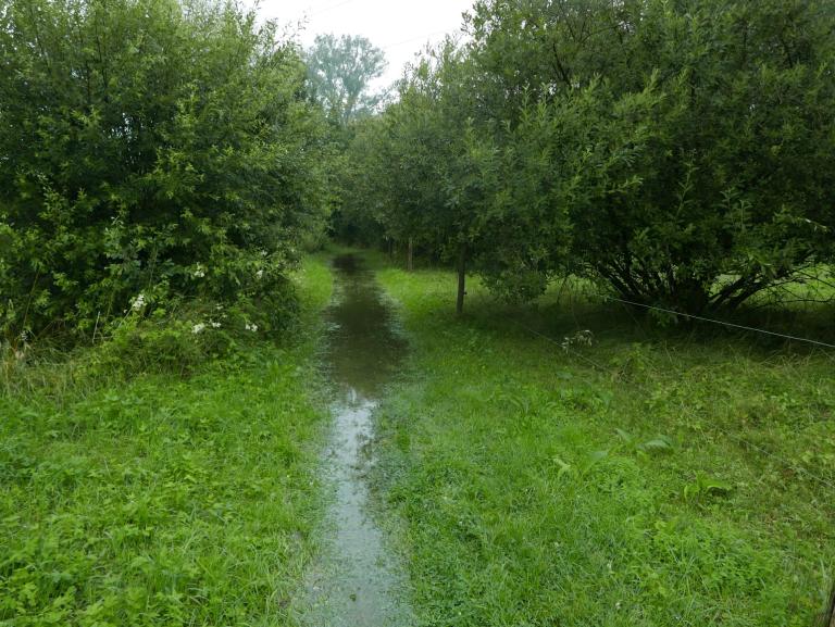 Wijgmaalbroekwandeling