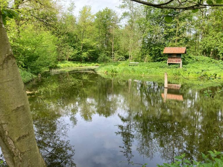 Zevenbergenbos 