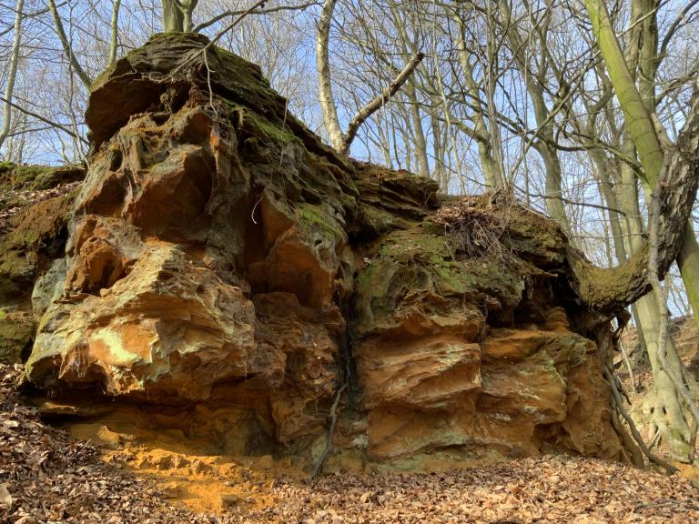 Bodemlagen in de Vlaamse Ardennen