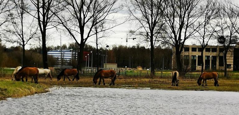 Campus Diepenbeek
