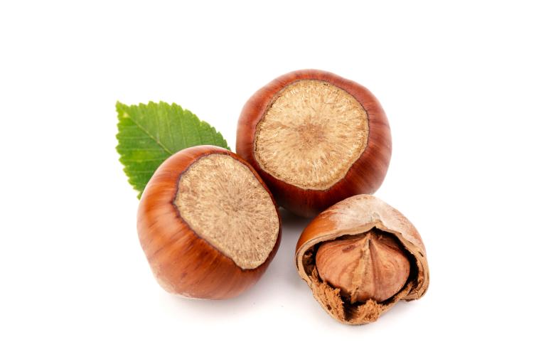Hazelnoot