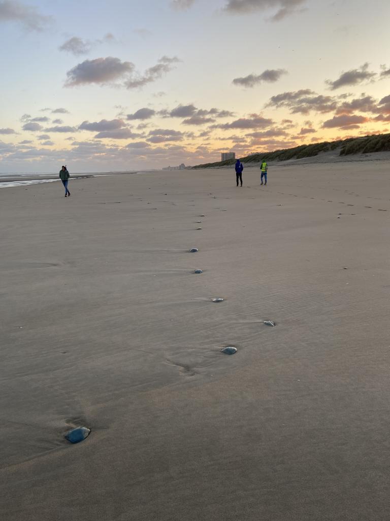 Oostduinkerke