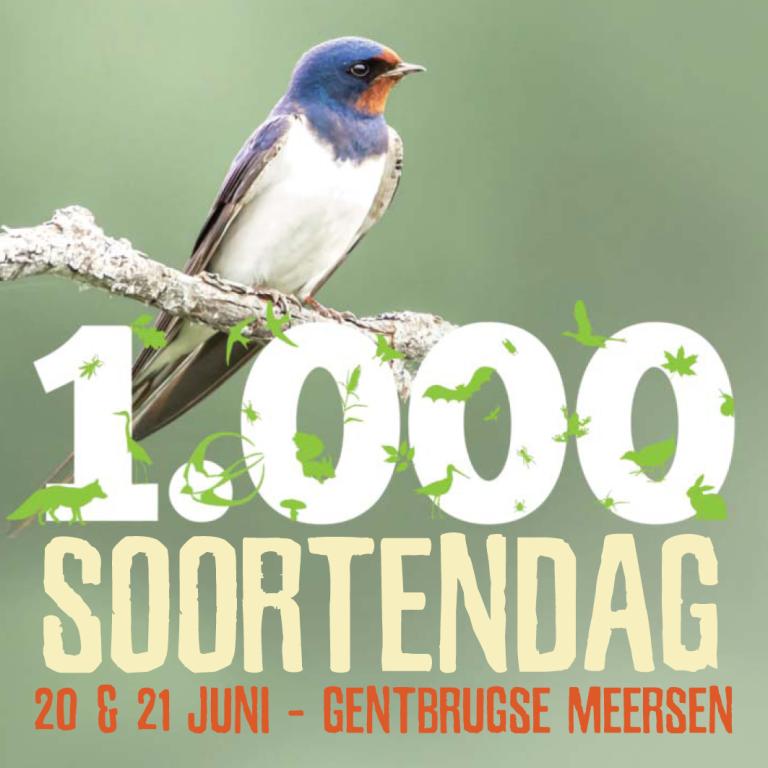 1000-soortendag in de Gentbrugse Meersen