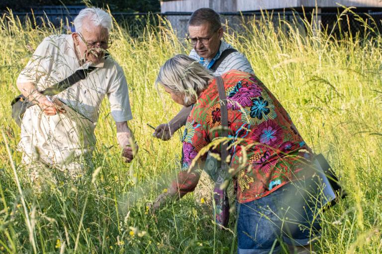 planteninventarisatie Steengelaag planteninventarisatie Steengelaag
