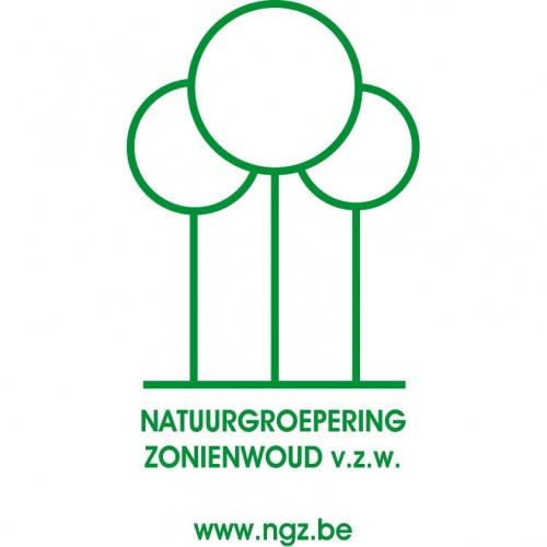 logo NGZ Logo NGZ