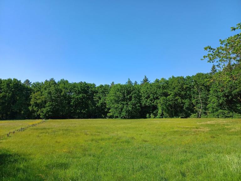 Plantenexcursie Gellikerheide Plantenexcursie Gellikerheide