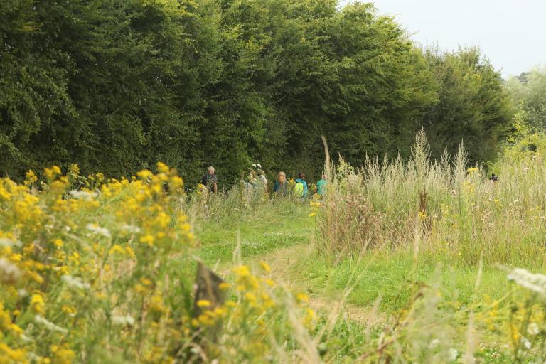Zomerwandeling Dikkebus