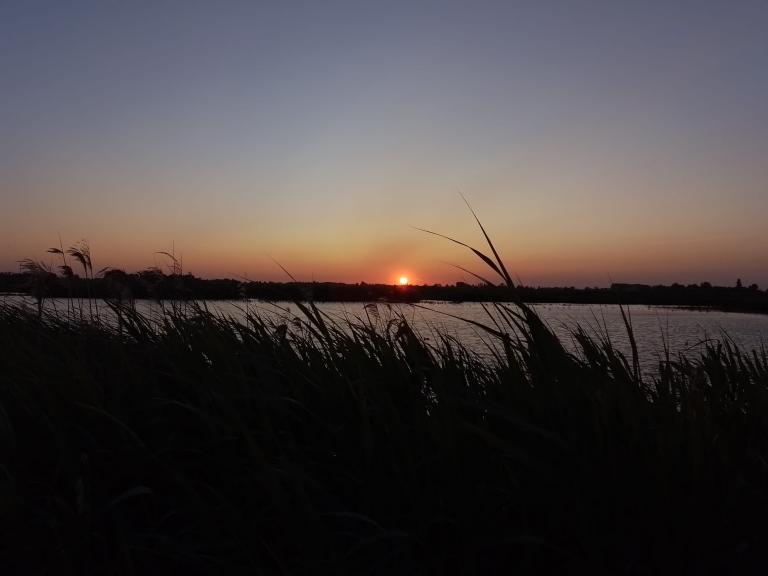 zonsondergang in de Blankaart avond in natuurgebied de Blankaart