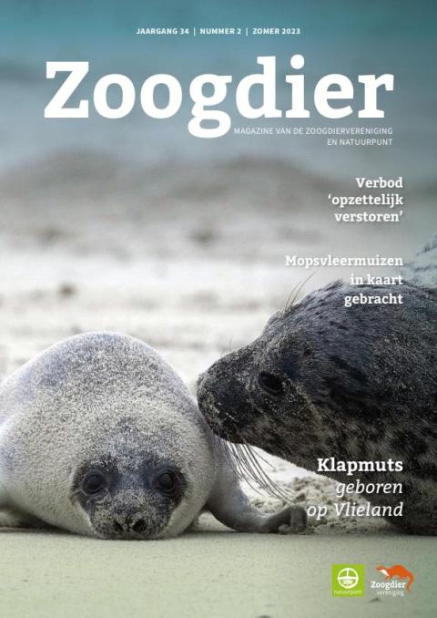 Zoogdier