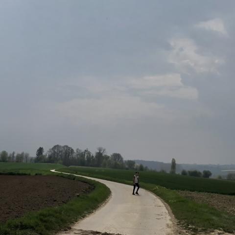 Rosdel
