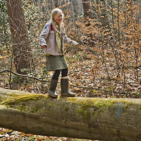 vorselaar-molenbos-opening_wandelpad