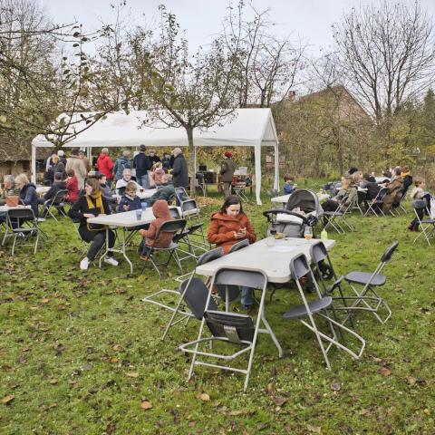 vorselaar_-_schapenoversteek_2021