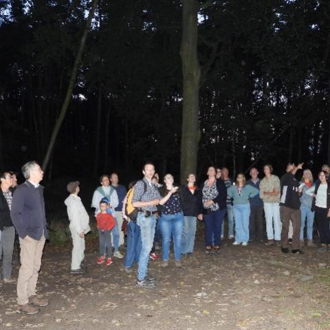 vleermuisgids in actie met batdetector