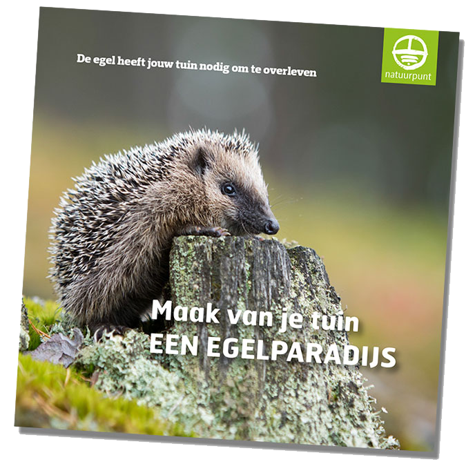 Download je gratis Egelgids