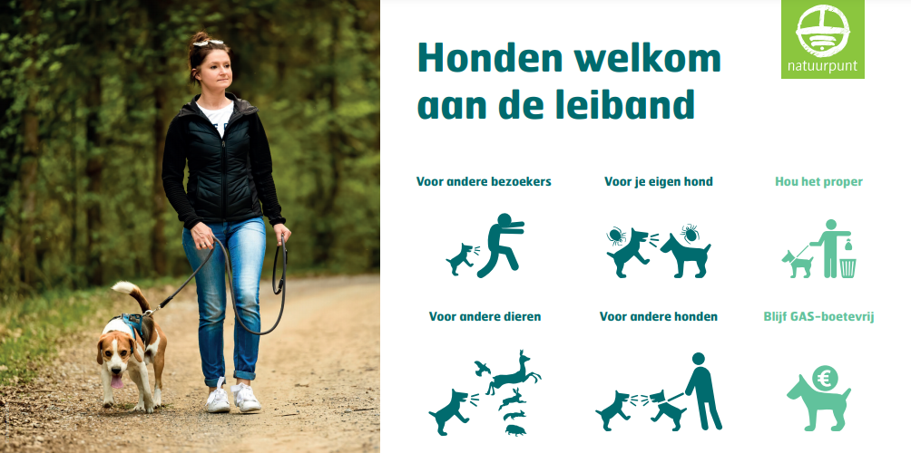 Waarom moet mijn hond aan de leiband in het bos?