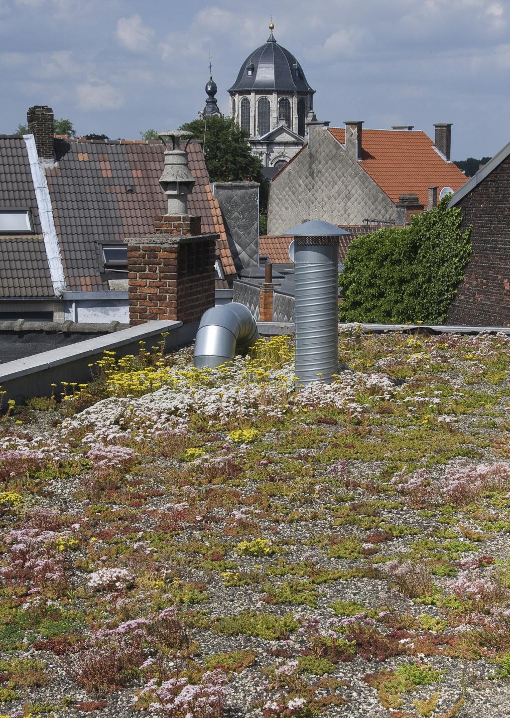 Groendak Natuurpunt - Edgard Verhasselt