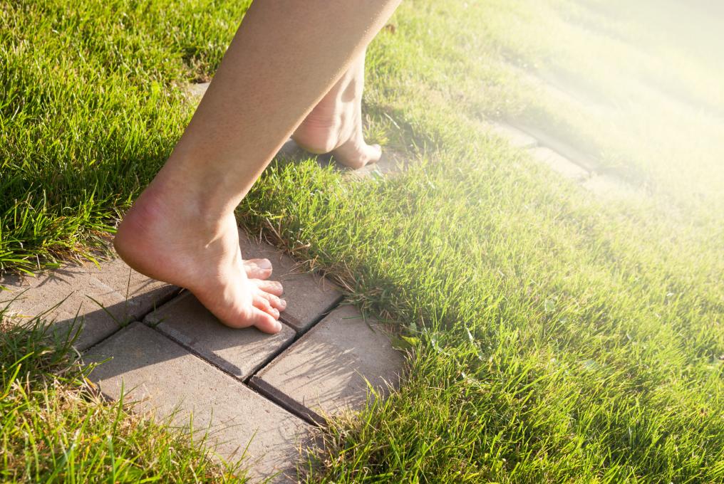 Tuin - Blotevoetenpad - Stapstenen - Shutterstock