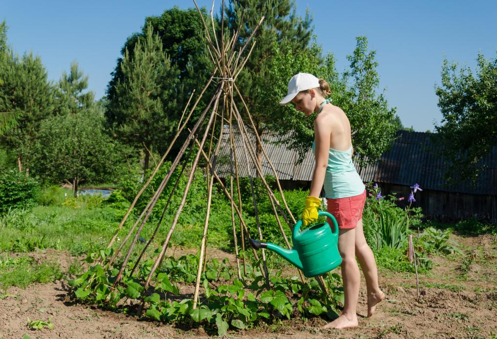 Tuin - Bonentipi bouwen - Shutterstock
