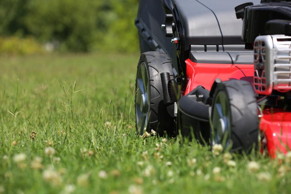 Tuin - Grasmaaier - Rijk gazon - Shutterstock