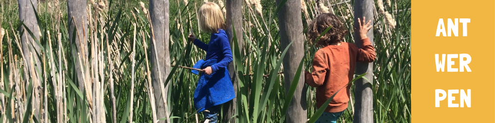 knop speelnatuur Antwerpen