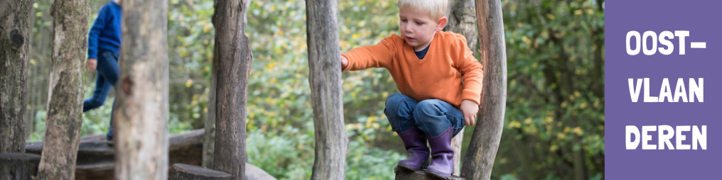 knop speelnatuur Oost-Vlaanderen