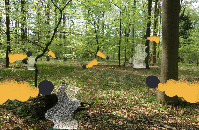 bos