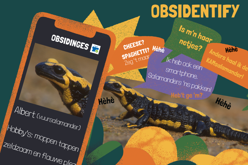 illustratie obsidentify