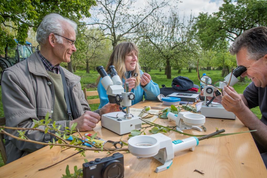 Vrijwilligerswebsite - Main - Natuuracademie - opleidingen - cursussen - Wim Dirckx