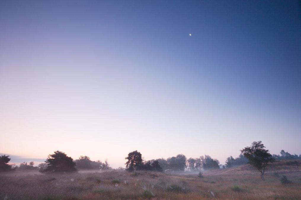 vilda_jeroen_mentens_maan_boven_een_nevelige_heide