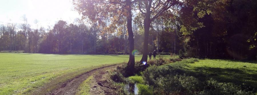 Wandelpad_langs_de_kleine_Laak-Vic_Van_Dyck