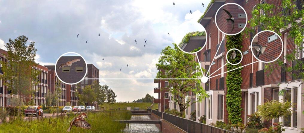 achtergrondafbeelding_checklist_groen_bouwen_vbnl