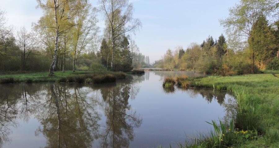roostvijvers_in_het_voorjaar_Vic_Van_Dyck