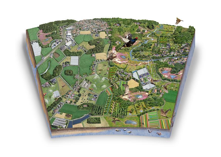 toekomstbeeld_-_kempen_en_zandig_vlaanderen_2022-2050