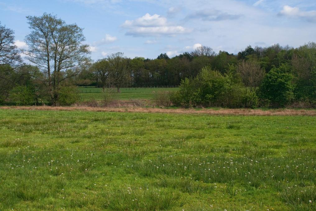 valleitje_zwarte_beek_-_katers_noord-TG