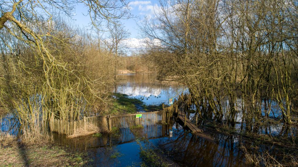 vorselaar_-_lovenhoek_.