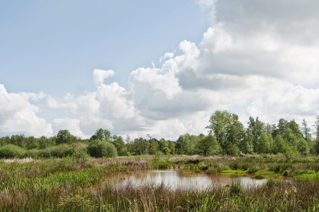 frans_emmerechts