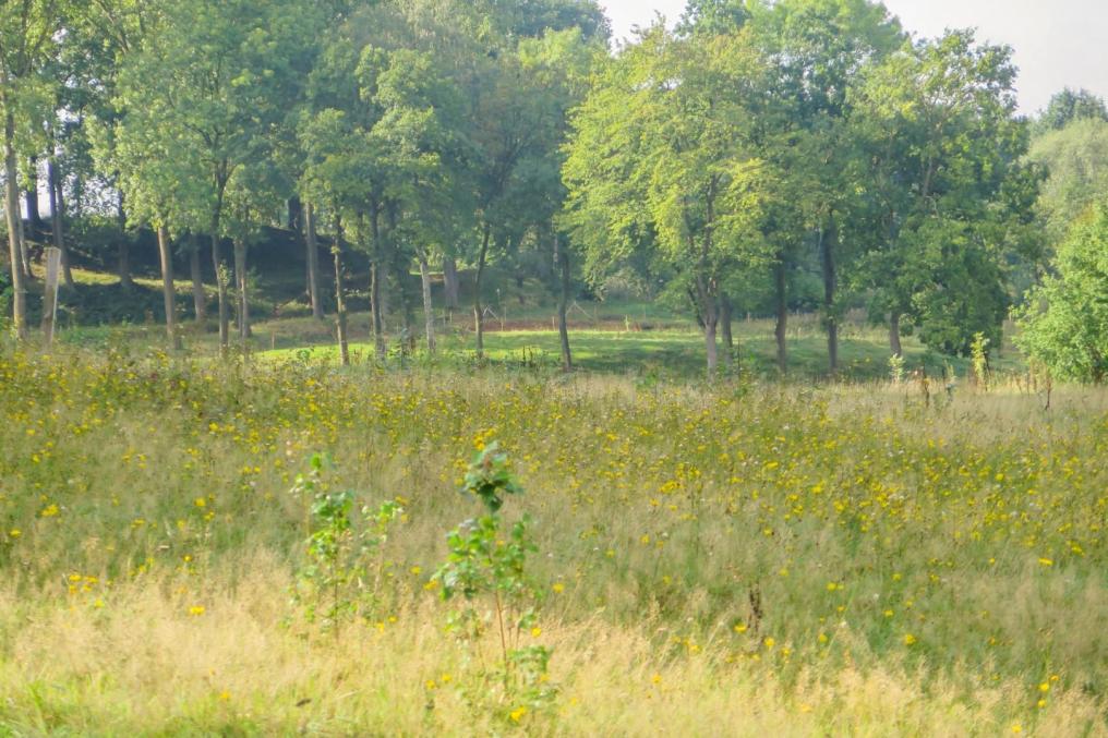 kesterheide_Guy-Laurijssens.