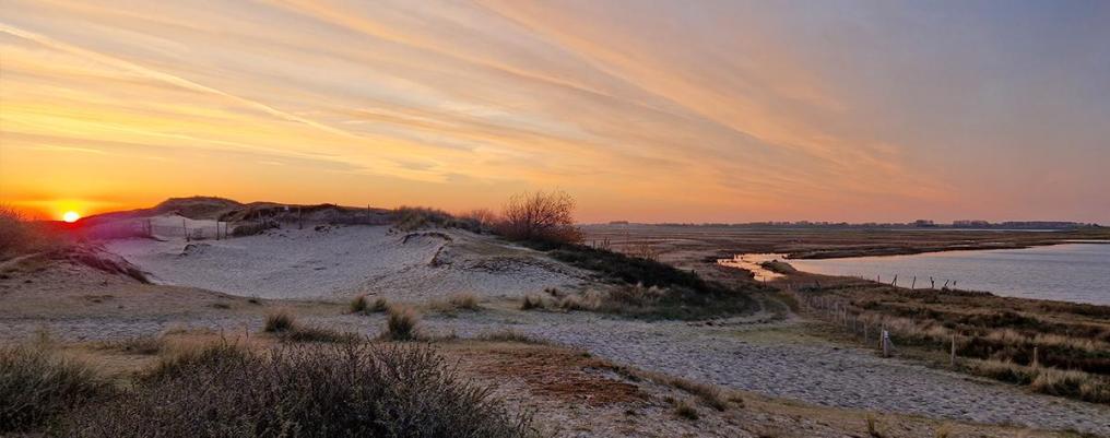 Wandelen in de duinen