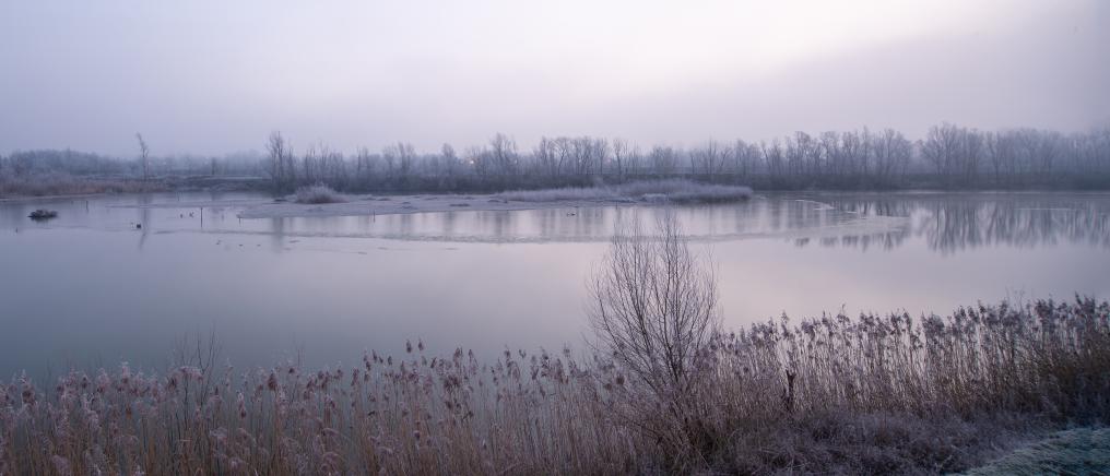 Leeuwenhof winter